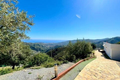 Landejendom i Almunecar, Granada, Almunecar - € 295.000 | Ref: 2605 - foto 29