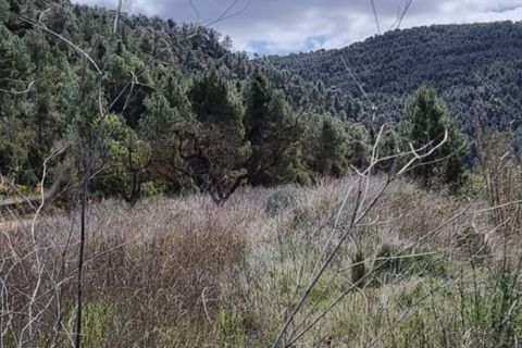 Finca i Caseres, Tarragona, Caseres - € 7 000 | Ref: C7 - foto 4