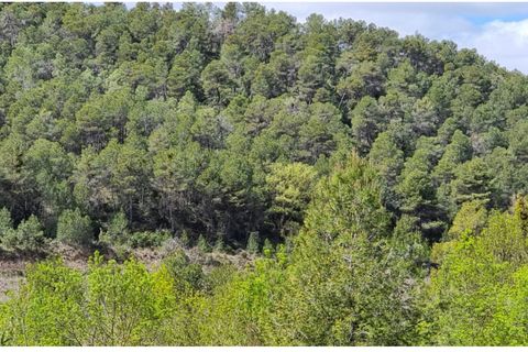 Finca i Caseres, Tarragona, Caseres - € 7 000 | Ref: C7 - foto 3