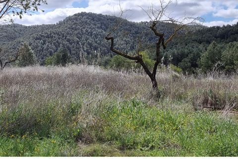Finca i Caseres, Tarragona, Caseres - € 7 000 | Ref: C7 - foto 2
