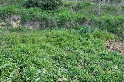 Finca i Caseres, Tarragona, Caseres - € 7 000 | Ref: C7 - foto 6