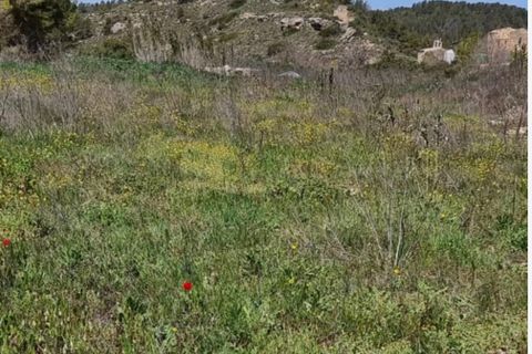 Finca i Caseres, Tarragona, Caseres - € 7 000 | Ref: C7 - foto 8