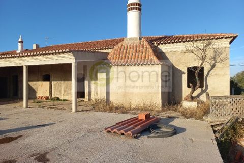 Landejendom i Castro Verde, Beja, Castro Verde - € 325.000 | Ref: CAS_1084 - foto 16