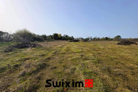 Terra a Saint-Germain-d'Esteuil, Gironde, Saint-Germain-d'Esteuil - € 87.500 | Ref: 244-CDM - foto 3