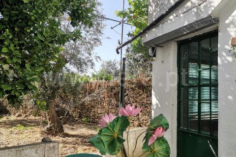 Villa a Castelo de Vide, Portalegre, Castelo de Vide - € 130.000 | Ref: 102260041 - foto 19