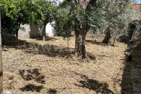 Villa a Castelo de Vide, Portalegre, Castelo de Vide - € 130.000 | Ref: 102260041 - foto 20