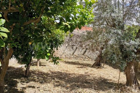 Villa a Castelo de Vide, Portalegre, Castelo de Vide - € 130.000 | Ref: 102260041 - foto 21