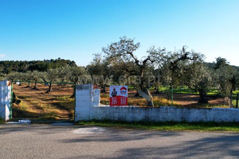 Terra a Penamacor, Castelo Branco, Penamacor - € 19.000 | Ref: 102260059 - foto 2