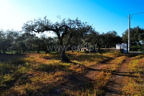 Terra a Penamacor, Castelo Branco, Penamacor - € 19.000 | Ref: 102260059 - foto 7