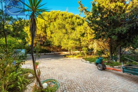 Villa i Almancil, Faro, Almancil - € 2.350.000 | Ref: 2035 - foto 6