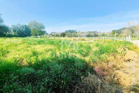 Helårsgrund i Barcelos, Braga, Barcelos - € 37.500 | Ref: S243 - foto 7