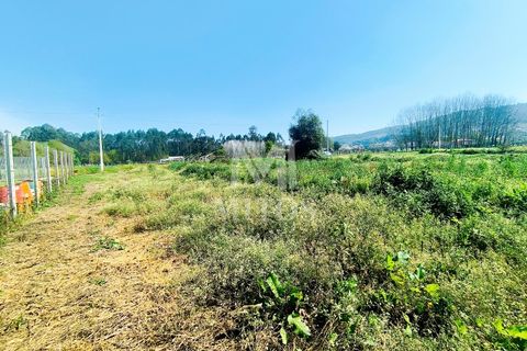 Helårsgrund i Barcelos, Braga, Barcelos - € 37.500 | Ref: S243 - foto 9