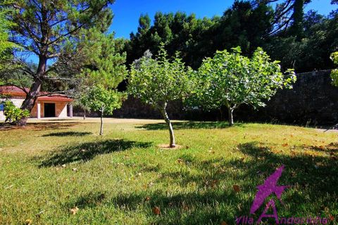 Villa i Caminha, Viana do Castelo, Caminha - € 550.000 | Ref: 54/2025 - foto 42