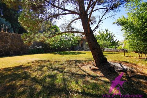 Villa i Caminha, Viana do Castelo, Caminha - € 550.000 | Ref: 54/2025 - foto 43