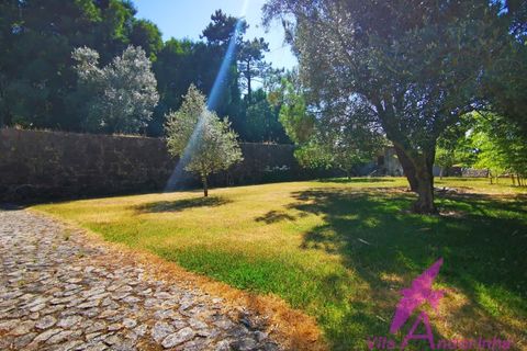 Villa i Caminha, Viana do Castelo, Caminha - € 550.000 | Ref: 54/2025 - foto 44