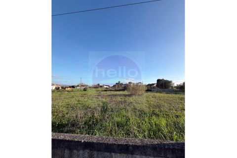 Helårsgrund i Tomar, Santarem, Tomar - € 35.000 | Ref: T 322 - foto 2