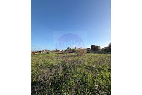 Helårsgrund i Tomar, Santarem, Tomar - € 35.000 | Ref: T 322 - foto 3