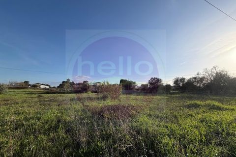 Helårsgrund i Tomar, Santarem, Tomar - € 35.000 | Ref: T 322 - foto 4