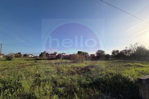 Helårsgrund i Tomar, Santarem, Tomar - € 35.000 | Ref: T 322 - foto 5