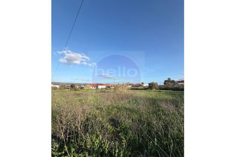 Helårsgrund i Tomar, Santarem, Tomar - € 35.000 | Ref: T 322 - foto 6