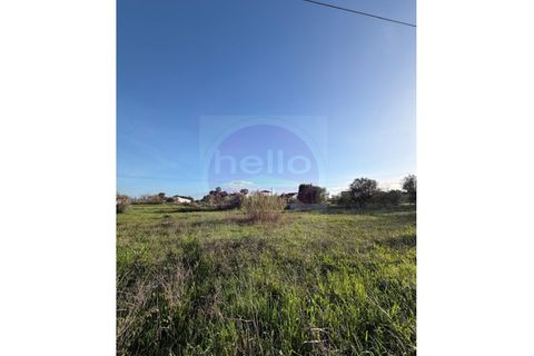 Helårsgrund i Tomar, Santarem, Tomar - € 35.000 | Ref: T 322 - foto 7