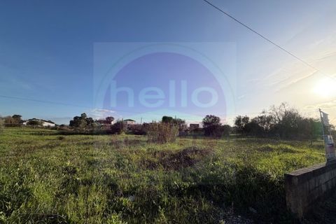 Helårsgrund i Tomar, Santarem, Tomar - € 35.000 | Ref: T 322 - foto 8