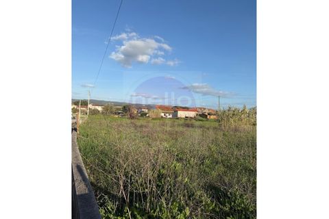 Helårsgrund i Tomar, Santarem, Tomar - € 35.000 | Ref: T 322 - foto 10