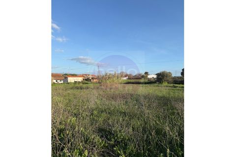 Helårsgrund i Tomar, Santarem, Tomar - € 35.000 | Ref: T 322 - foto 11