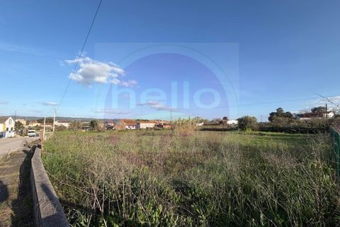 Helårsgrund i Tomar, Santarem, Tomar - € 35.000 | Ref: T 322 - foto 12