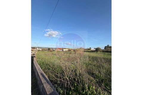 Helårsgrund i Tomar, Santarem, Tomar - € 35.000 | Ref: T 322 - foto 13