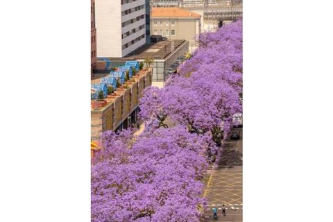 Lejlighed i Lisbon, Lisbon, Lisbon - € 2.250.000 | Ref: 26056 - 3 - foto 3