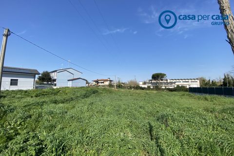 Terra a Porto Viro, Rovigo, Porto Viro - € 90.000 | Ref: PVL17 - foto 2