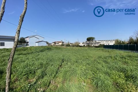 Terra a Porto Viro, Rovigo, Porto Viro - € 90.000 | Ref: PVL17 - foto 3