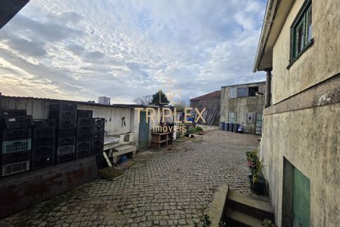 Landejendom i Maia, Porto, Maia - € 650.000 | Ref: 341 - foto 3