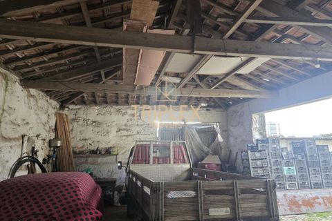 Landejendom i Maia, Porto, Maia - € 650.000 | Ref: 341 - foto 4