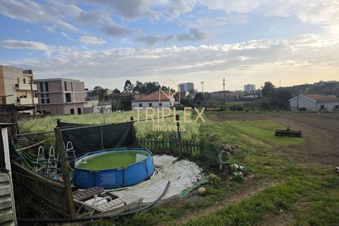 Landejendom i Maia, Porto, Maia - € 650.000 | Ref: 341 - foto 5