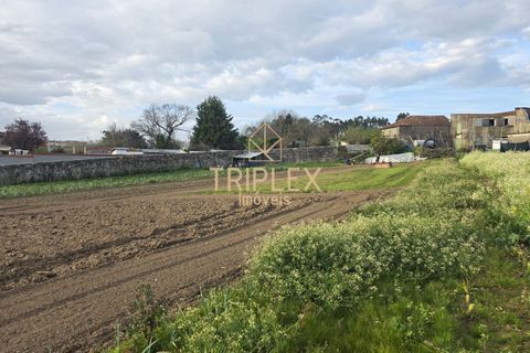 Landejendom i Maia, Porto, Maia - € 650.000 | Ref: 341 - foto 11