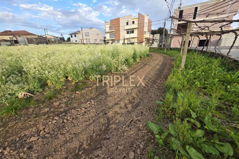 Landejendom i Maia, Porto, Maia - € 650.000 | Ref: 341 - foto 13