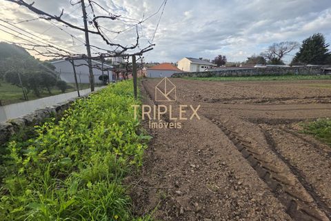 Landejendom i Maia, Porto, Maia - € 650.000 | Ref: 341 - foto 14