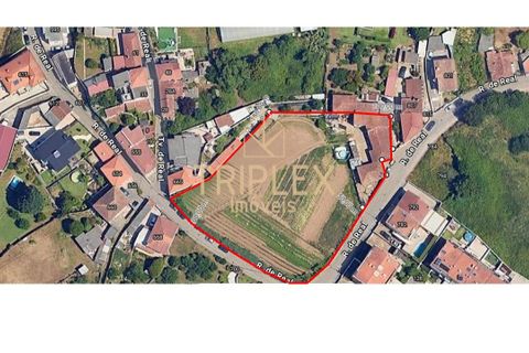 Landejendom i Maia, Porto, Maia - € 650.000 | Ref: 341 - foto 20