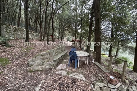 Rækkehus i Bagno a Ripoli, Florence, Bagno a Ripoli - € 650.000 | Ref: V650BIGALLO - foto 24