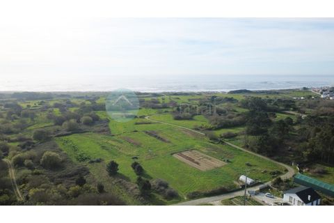 Villa i Viana do Castelo, Viana do Castelo, Viana do Castelo - € 475.000 | Ref: CAS_31648 - foto 11