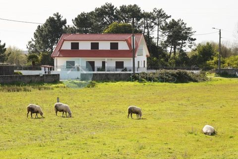 Villa i Viana do Castelo, Viana do Castelo, Viana do Castelo - € 475.000 | Ref: CAS_31648 - foto 12