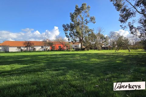 Villa i Divatte-sur-Loire, Loire-Atlantique, Divatte-sur-Loire - € 369.900 | Ref: DOM30058 - foto 18