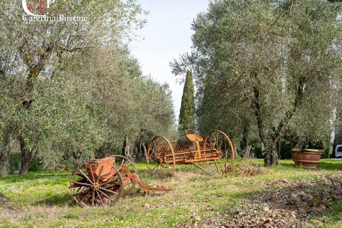 Villa a Impruneta, Florence, Impruneta - € 4.500.000 | Ref: VILL99 - foto 9