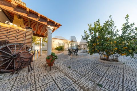 Villa i Alpiarca, Santarem, Alpiarca - € 479.000 | Ref: 100.001.871 - foto 47