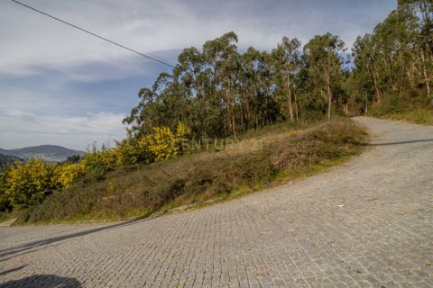 Villa i Braga, Braga, Braga - € 385.000 | Ref: C0256-03427 - foto 15
