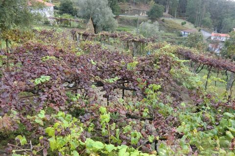 Villa a Azere, Viana do Castelo, Azere - € 270.000 | Ref: 6945 - foto 3