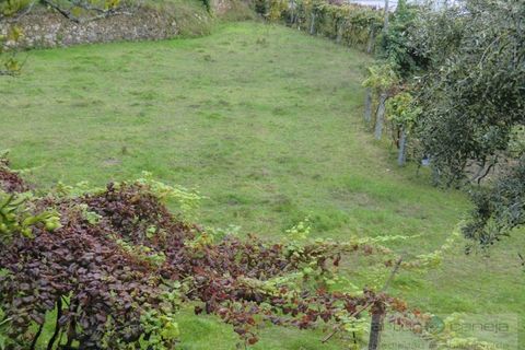 Villa a Azere, Viana do Castelo, Azere - € 270.000 | Ref: 6945 - foto 6