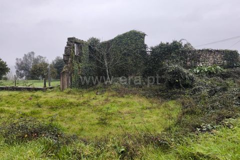 Helårsgrund i Barcelos, Braga, Barcelos - € 68.000 | Ref: 254260664 - foto 2